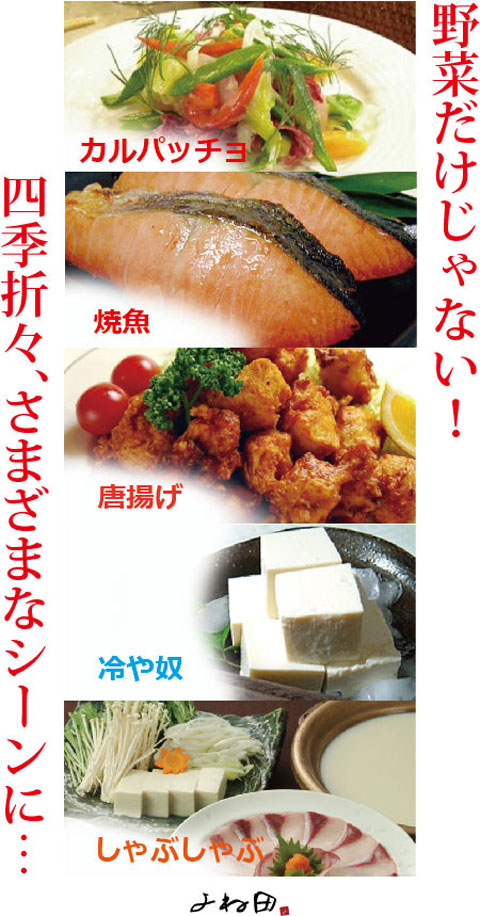 ドレッシング用途